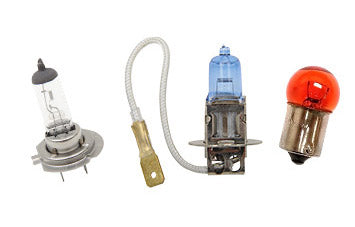 Bulbs