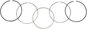 WSM Piston Rings for 79.50mm +1.00mm Oversize Bore