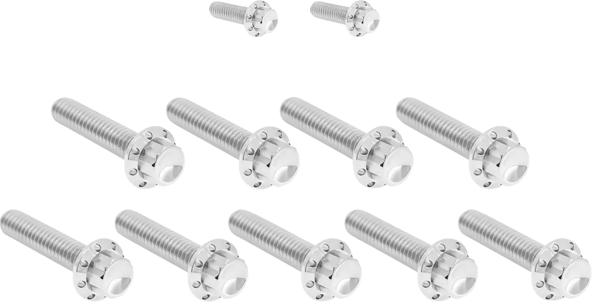 Arlen Ness Titanium 12-Point Bolt Kit Polish for FLT 2017-2023