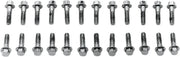 Colony Valve Cover Screw Kit for Panhead