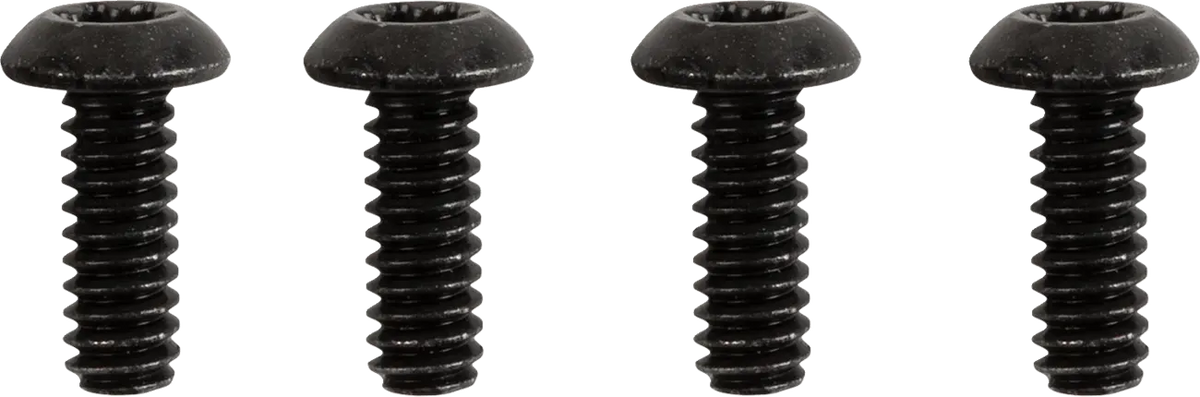 Drag Specialties Switch Housing Screw Kit 10-24 x 1/2"