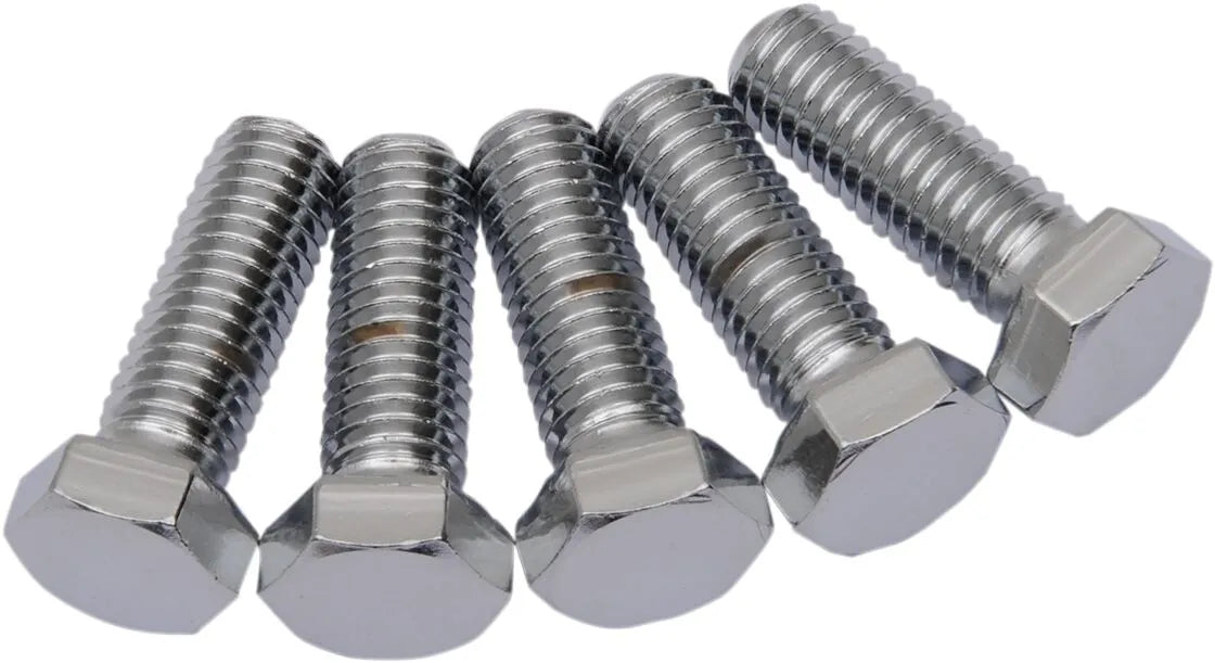 Drag Specialties 1/2-13x2" Chrome Hex Head Bolts
