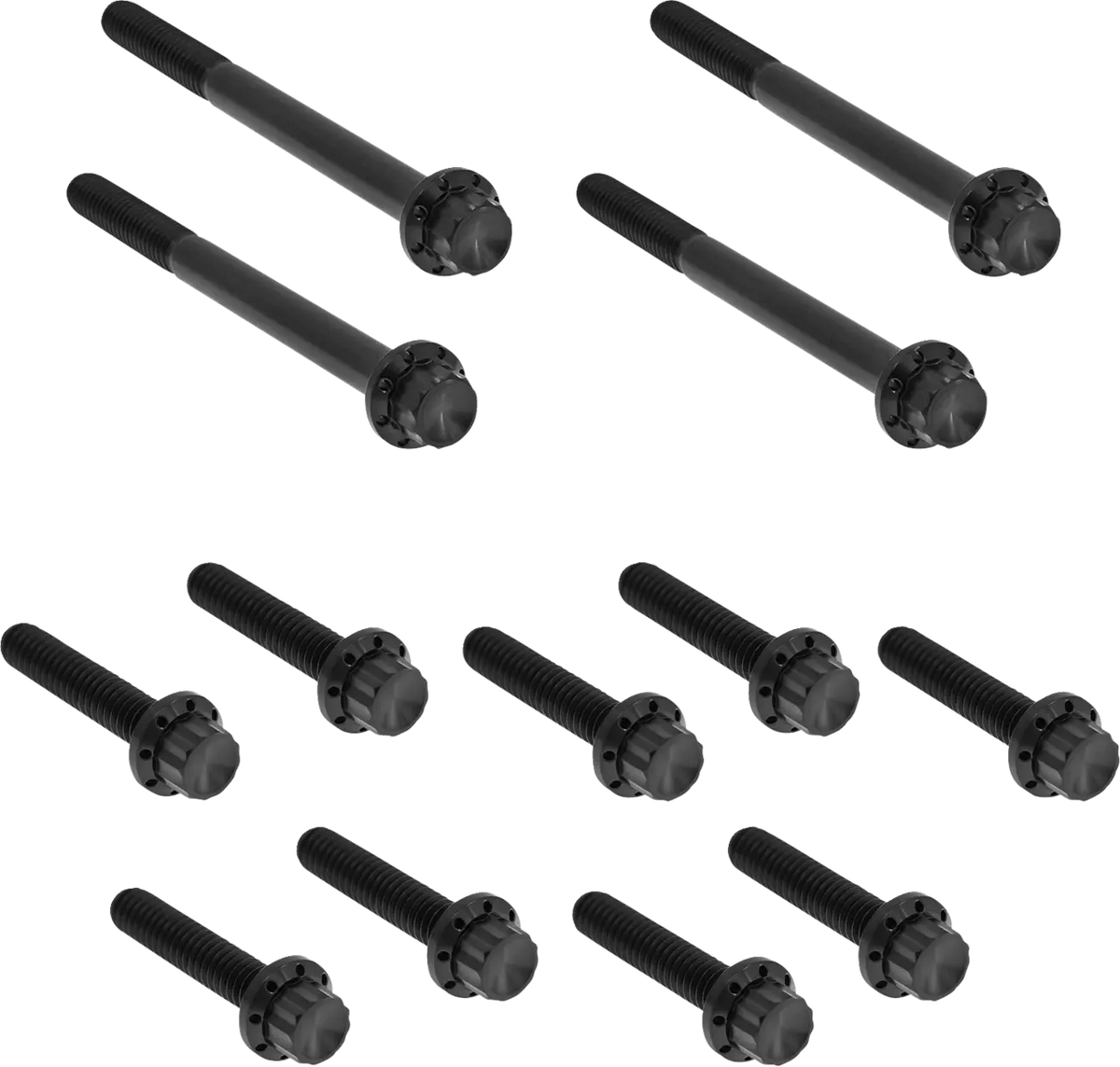 Arlen Ness Titanium 12-Point Primary Bolt Kit Black Softail