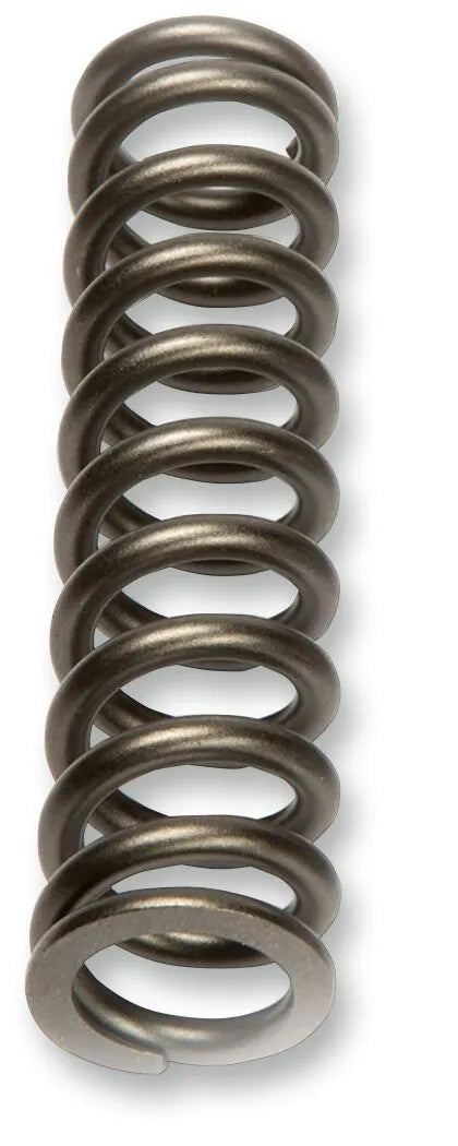 Kyb Fork Spring