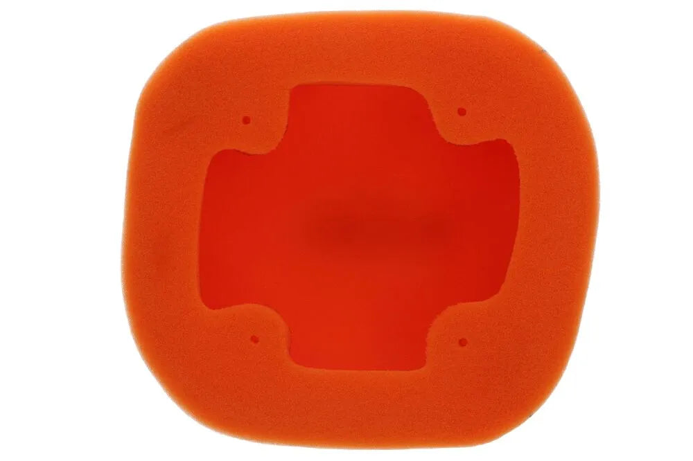 Twin Air Air Filter