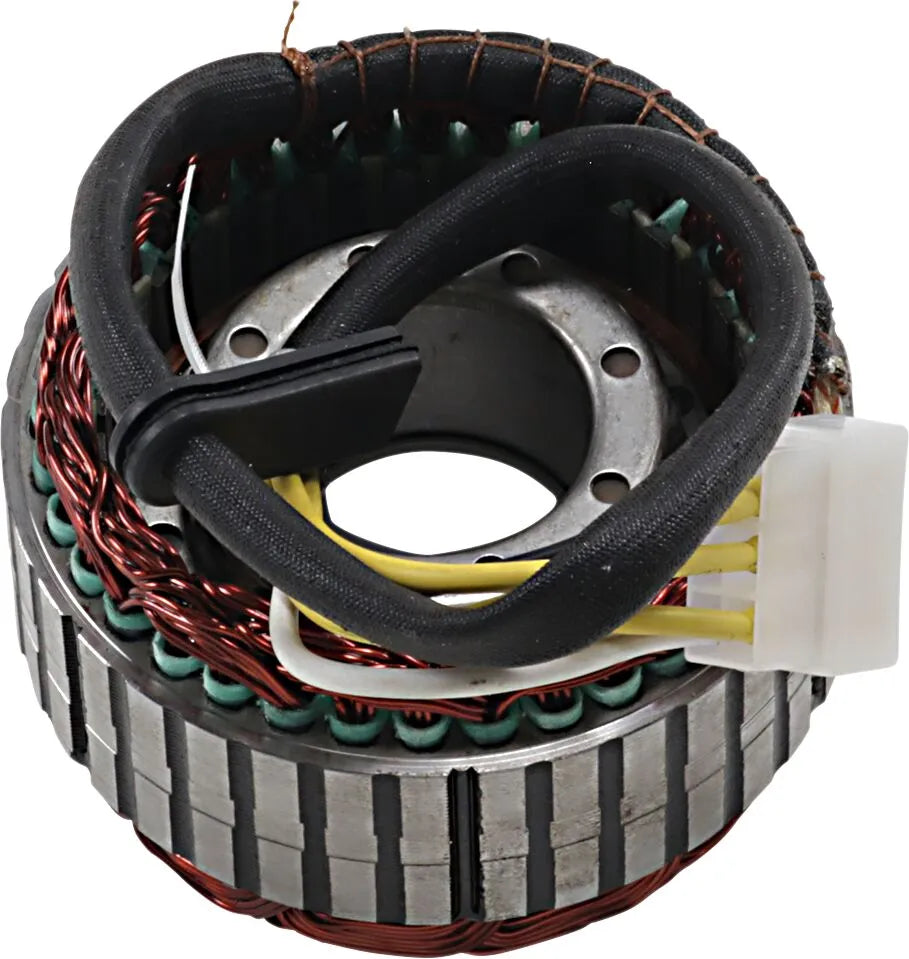 Rick's Motorsport Electric Stator