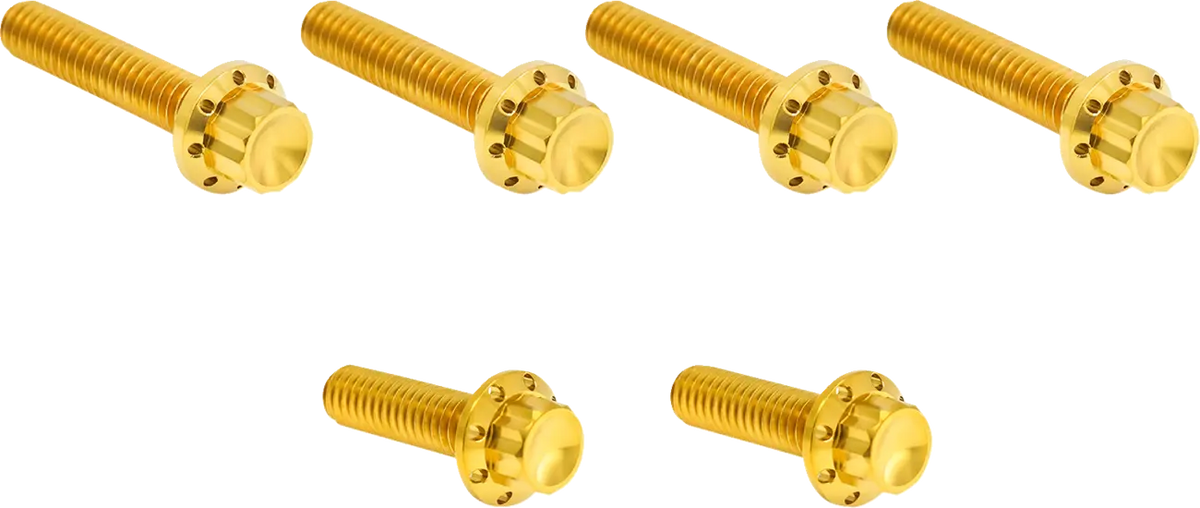 Arlen Ness Titanium 12-Point M8 Bolt Kit Gold for Trans Side
