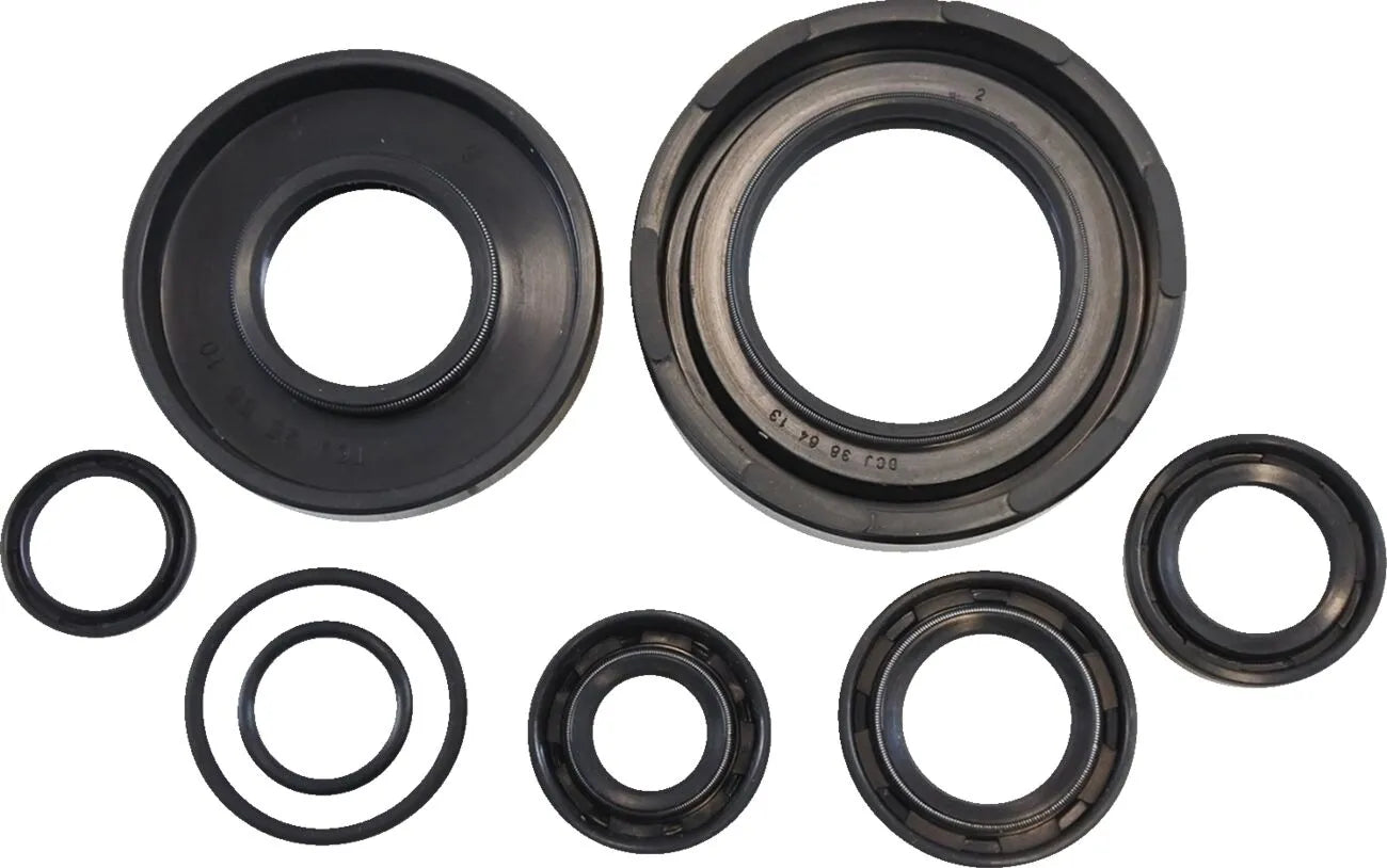 Vintco Oil Seal Kit for Engine Lower End