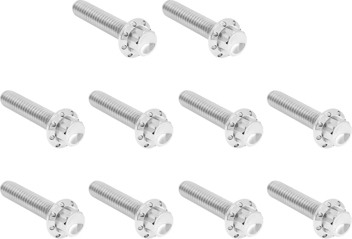 Arlen Ness Titanium 12-Point M8 Bolt Kit Polish Twin Cam 00-17
