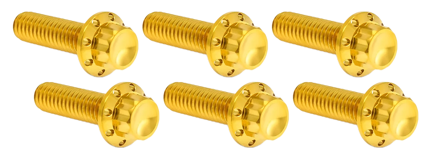Arlen Ness Transmission Top Cover Titanium 12-POINT Bolt Kits – Hardware