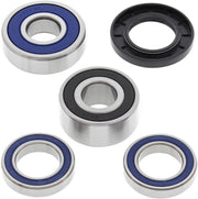 ALL BALLS Wheel Bearing Kit for Rear