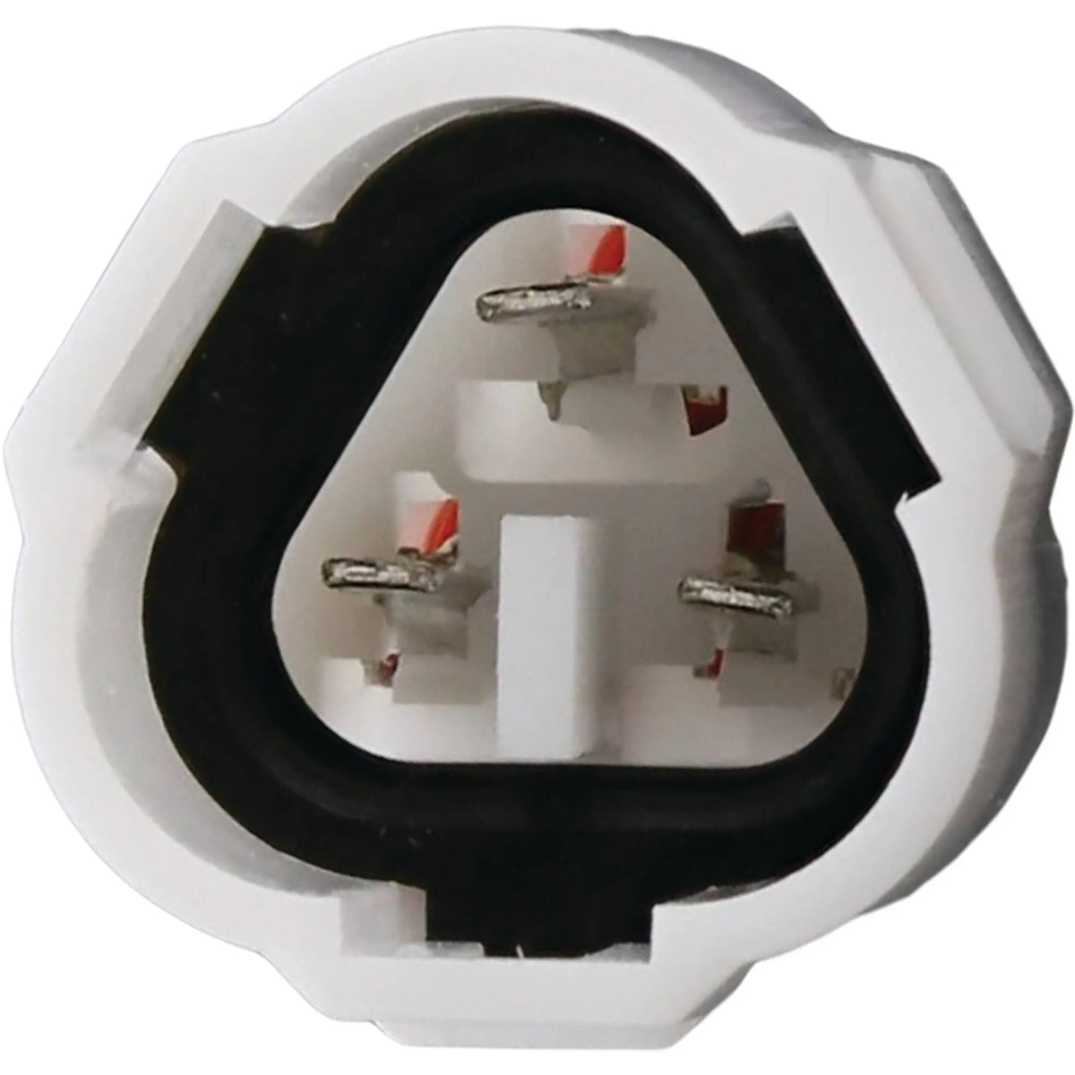 All Balls Fuel Pump Module