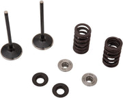 Moose Offroad Intake Valve And Spring Kit