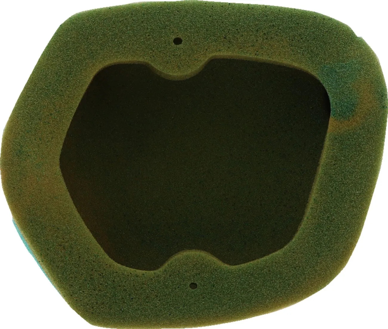 Twin Air Factory Pre-oiled Air Filter