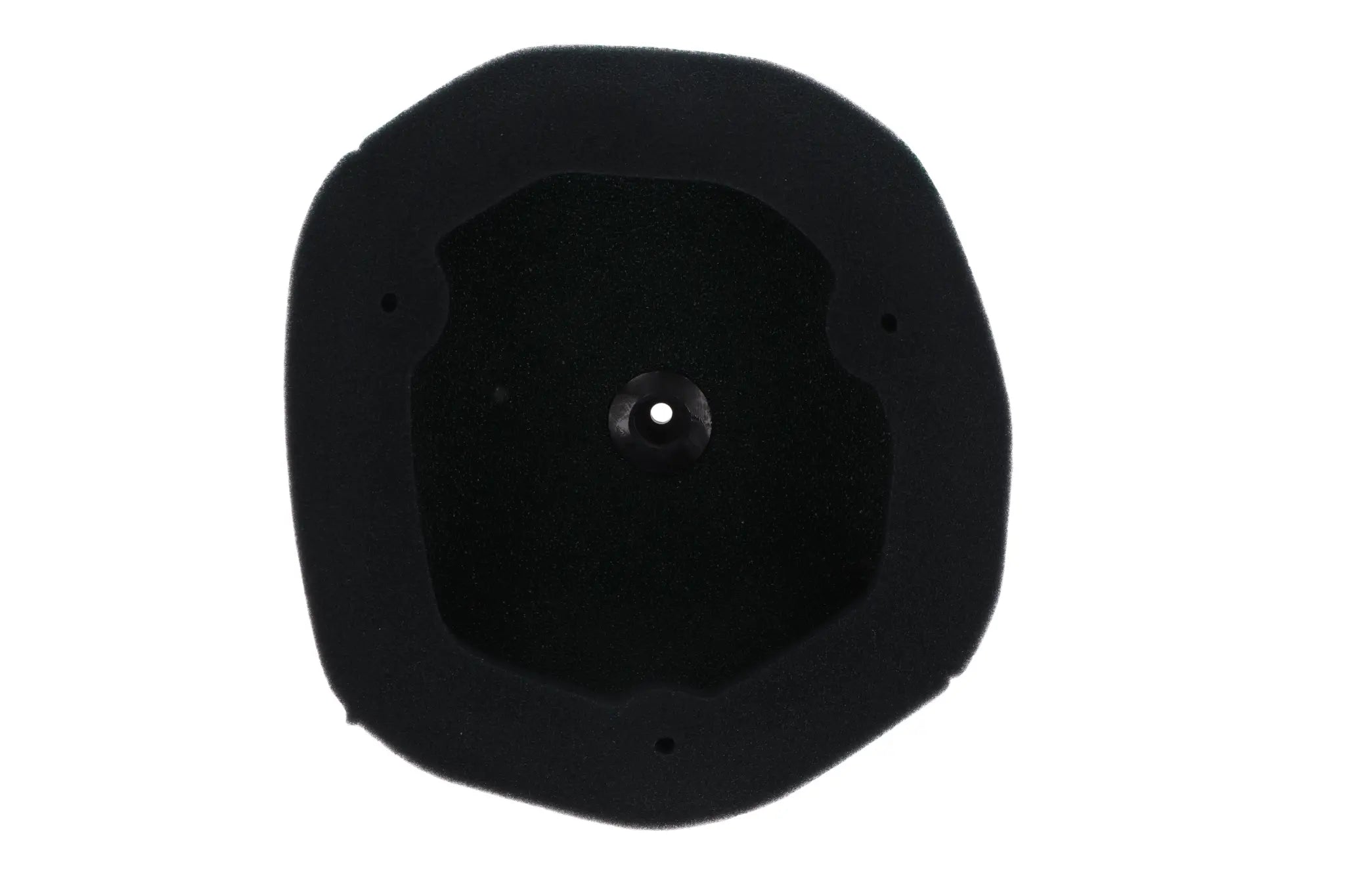 Twin Air Air Filter
