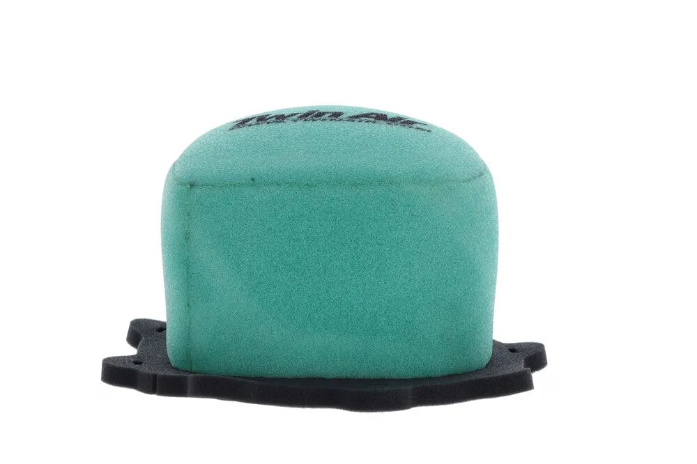Twin Air Air Filter