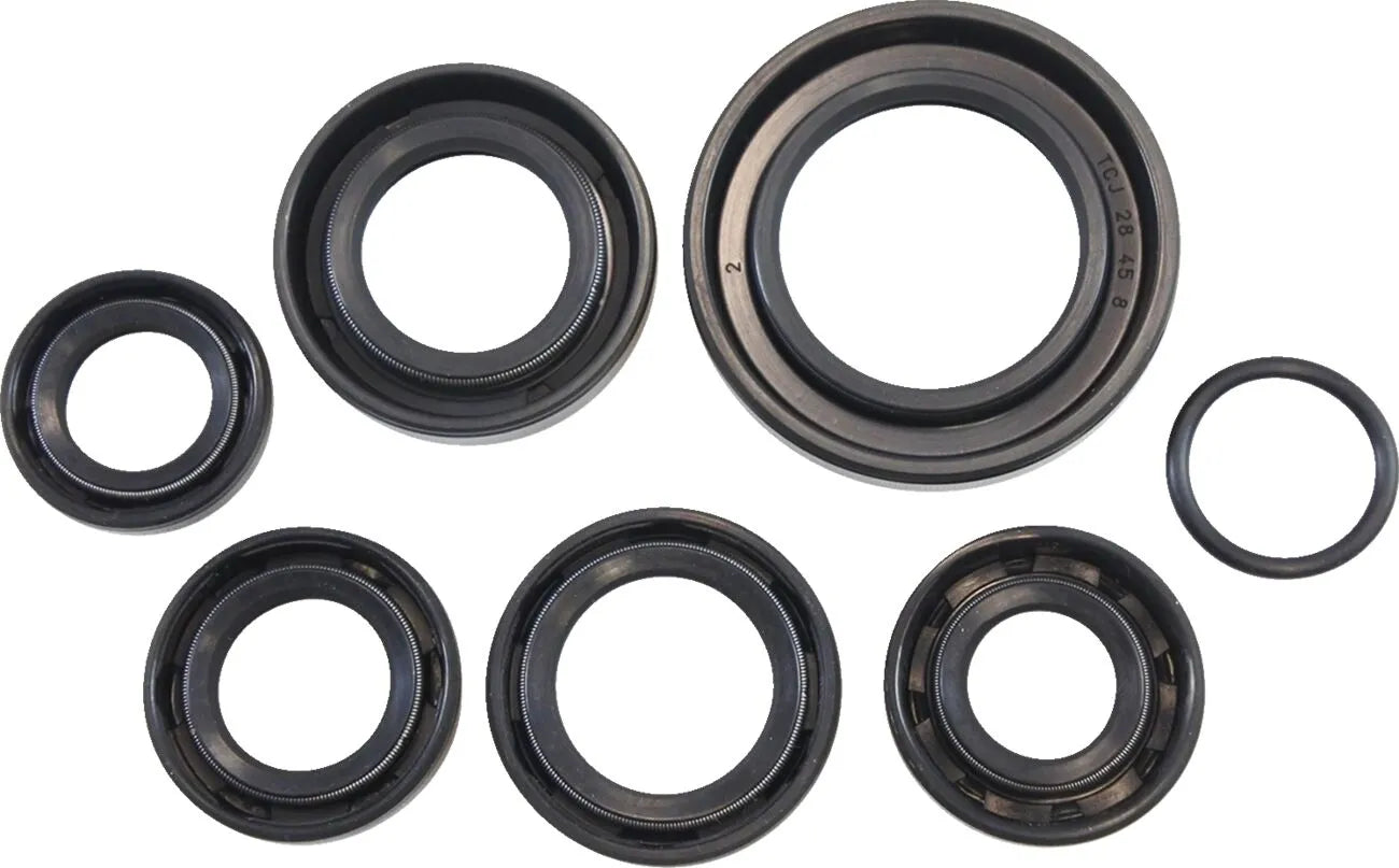 Vintco Oil Seal Kit for Motorcycle Engine Rebuilds