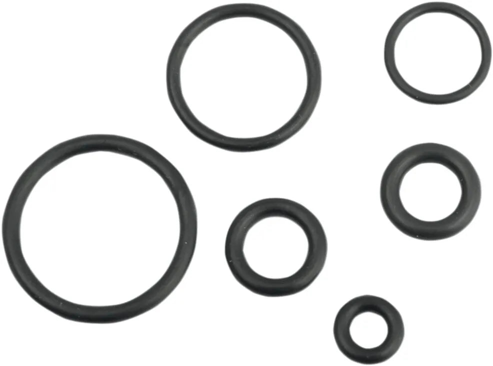 Drag Specialties O-Ring Service Kit for EFI Fuel Lines