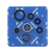 Centauro Fork Oil Seal Kit