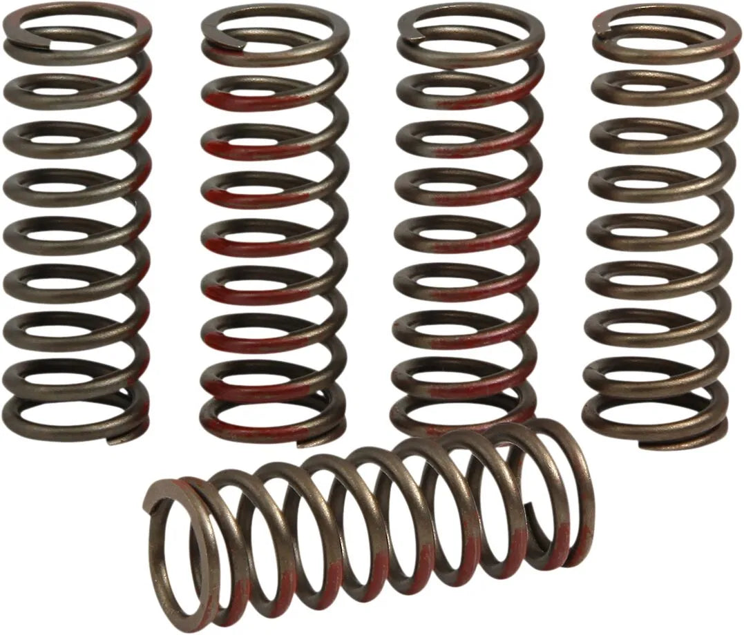 Pro Circuit Clutch Spring Set