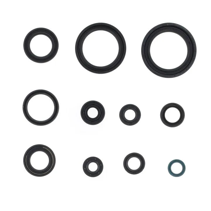 Centauro Fork Oil Seal Kit