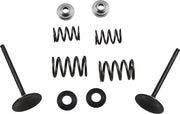 Moose Offroad Intake Valve And Spring Kit
