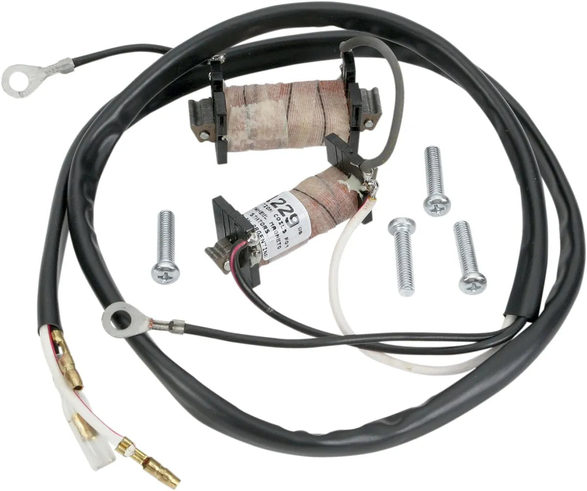 Rick's Motorsport Electric Stator Rebuild Kit