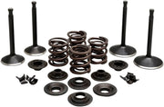 Kibblewhite Engine Valve Kit