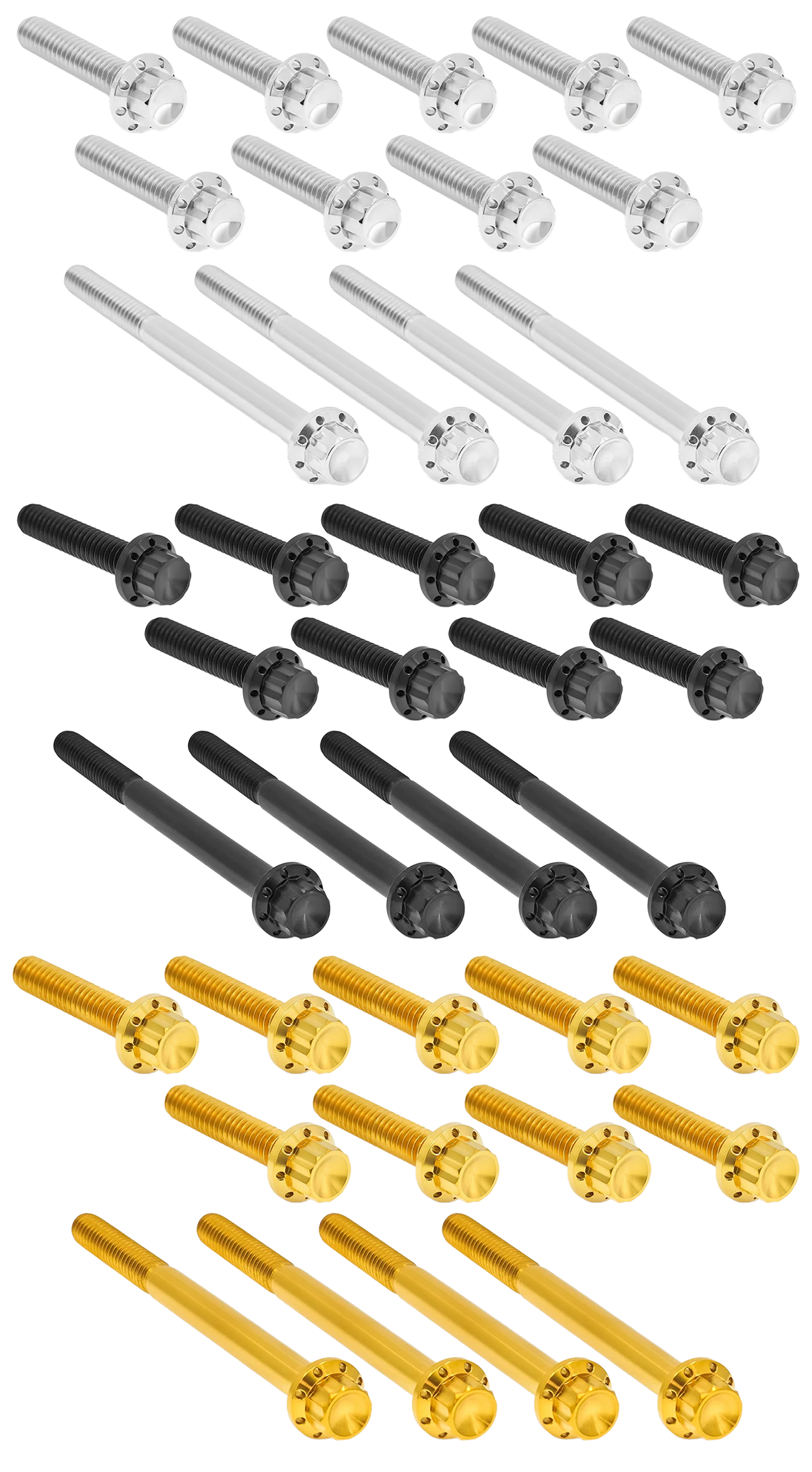 Arlen Ness Primary Cover Titanium 12-POINT Bolt Kits – Hardware
