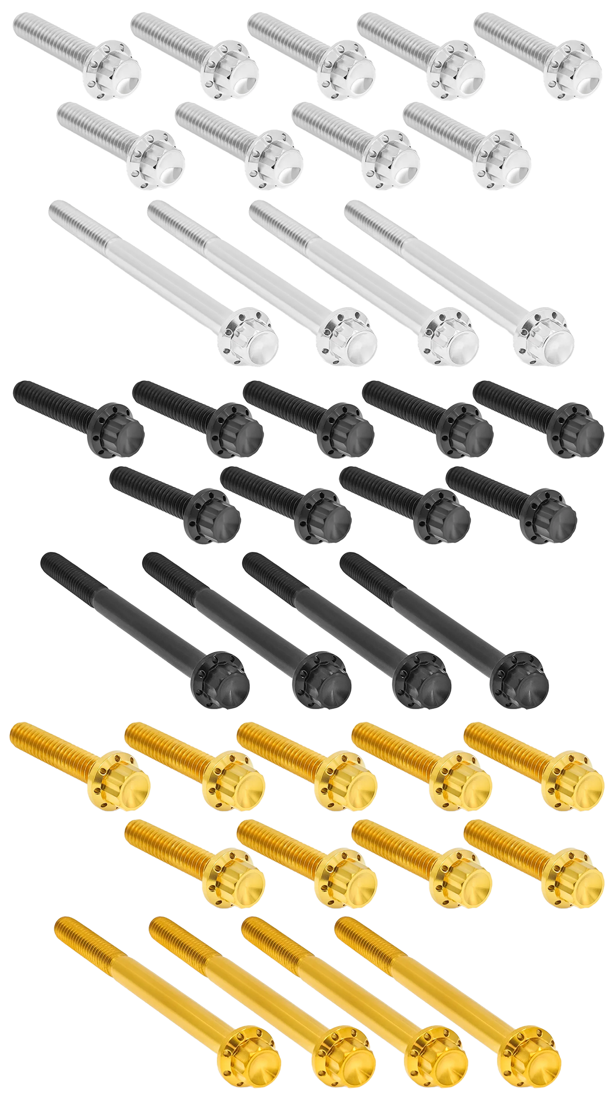 Arlen Ness Primary Cover Titanium 12-POINT Bolt Kits – Hardware