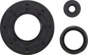 Vertex Engine Oil Seal Kit
