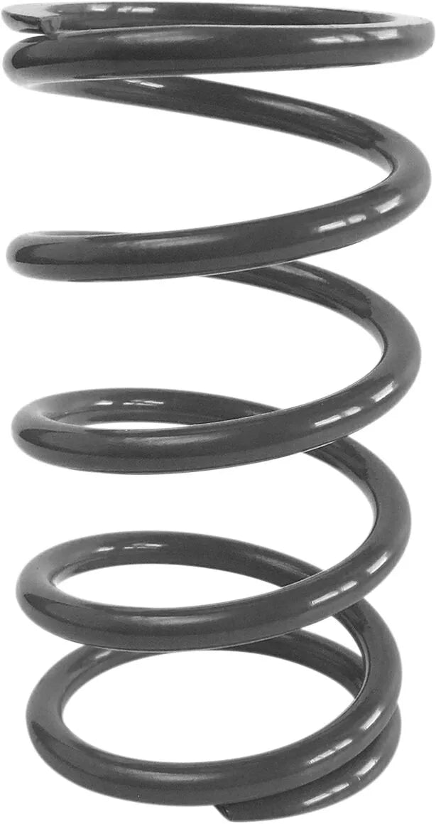 Epi Primary Clutch Spring