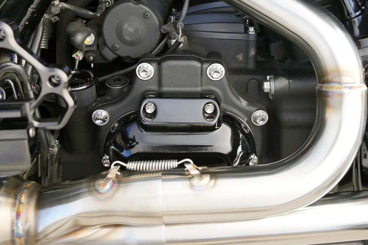 Arlen Ness M8 12-Point Titanium Polished Transmission Bolt Kit