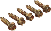 Gold Screws Ice Screws for Motorcycle Tires