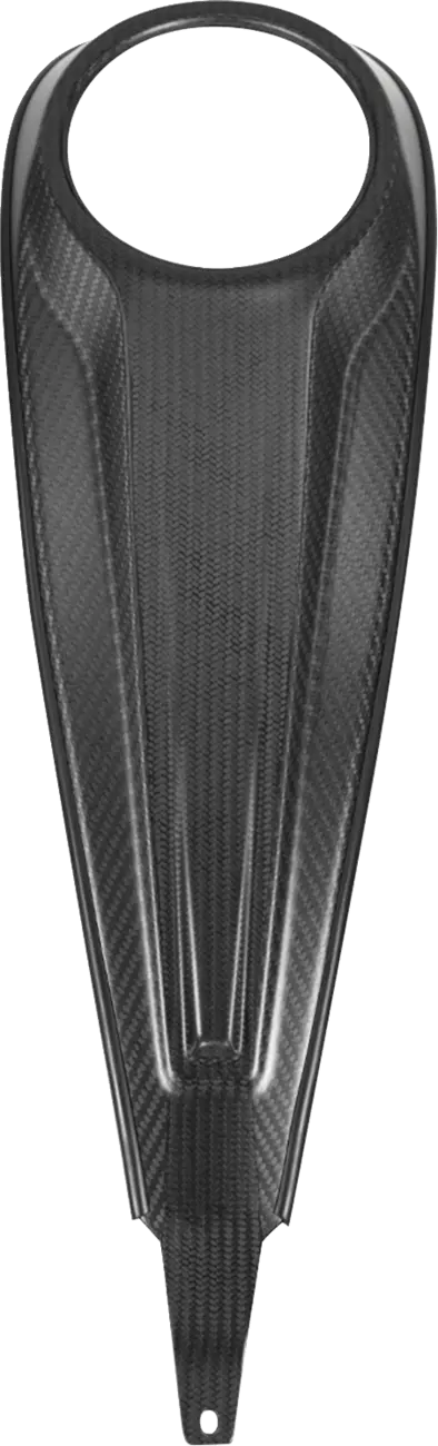 Saddlemen Carbon Fiber Dash Panel for Touring Models