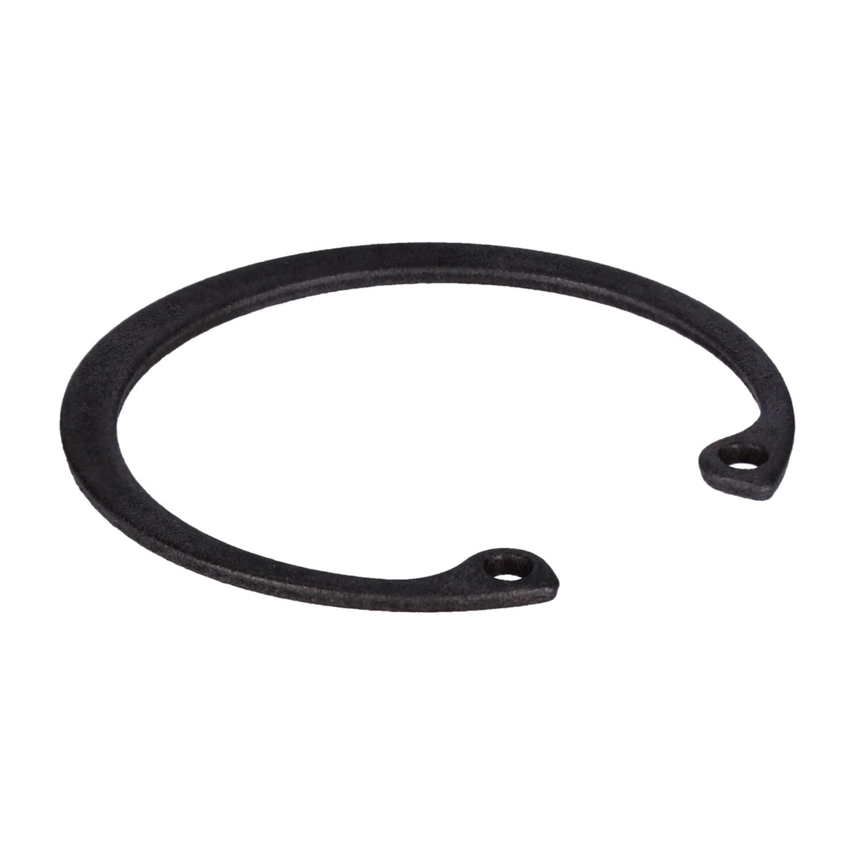 MCS Retaining ring generator bearing
