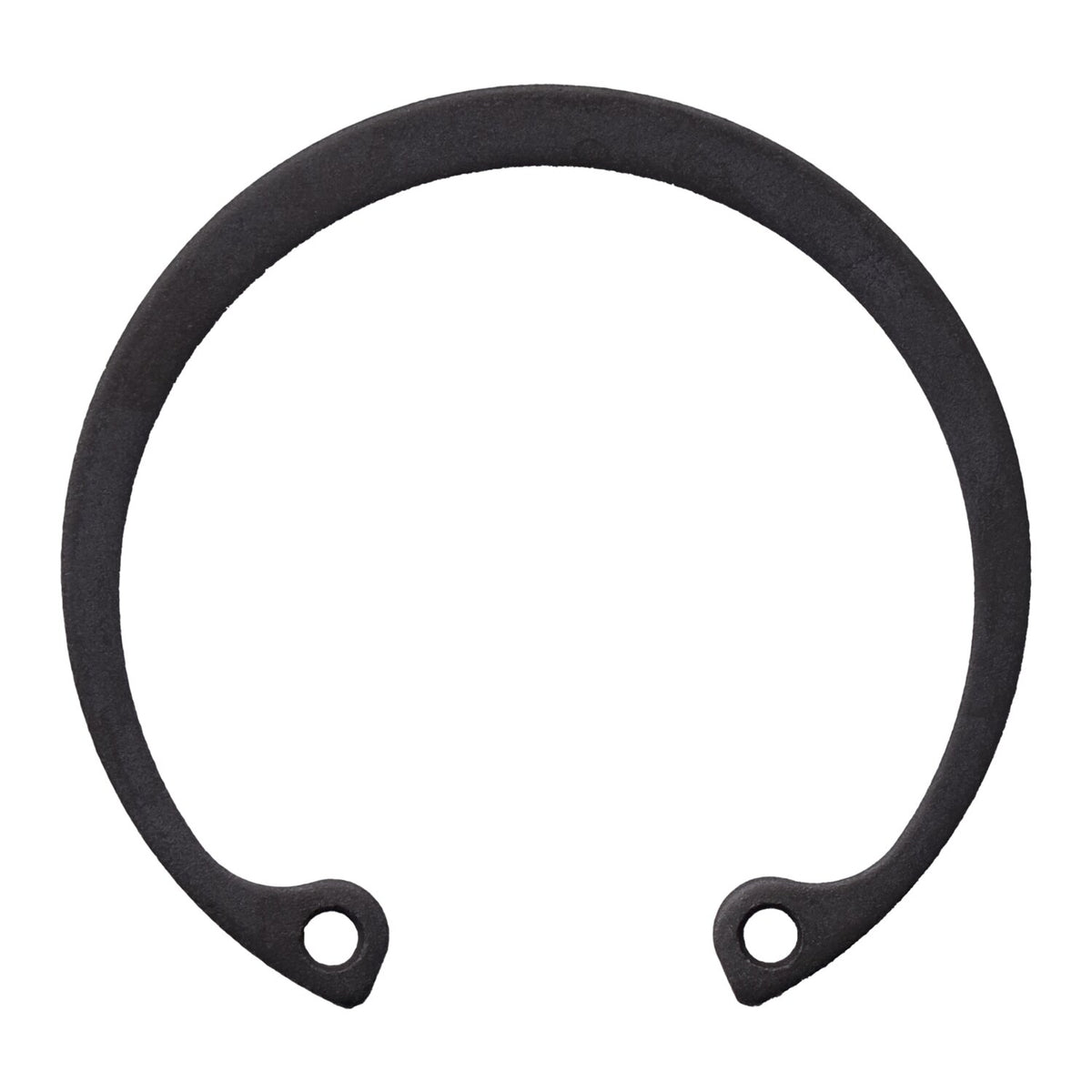 MCS Retaining ring generator bearing