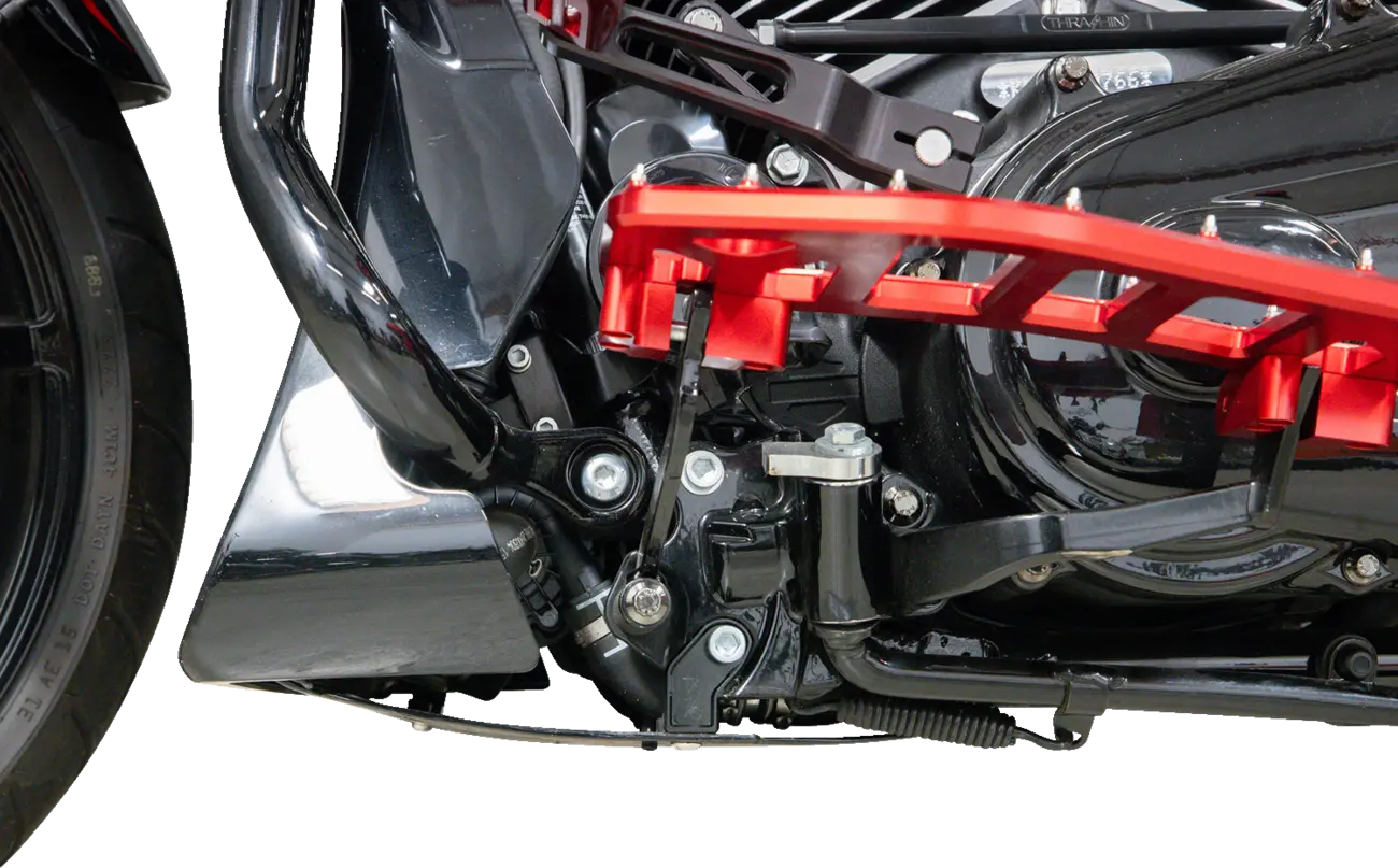 Thrashin Supply Carbon Fiber Skid Plate
