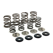 Manley valve spring - Stock to .495" lift
