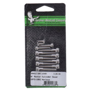 Gardner-Westcott Handlebar control screw kit ss allen