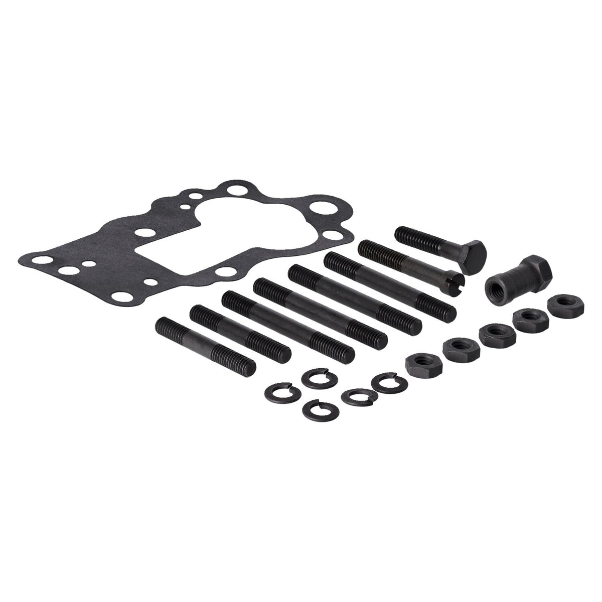 MCS Oil pump assembly cast iron