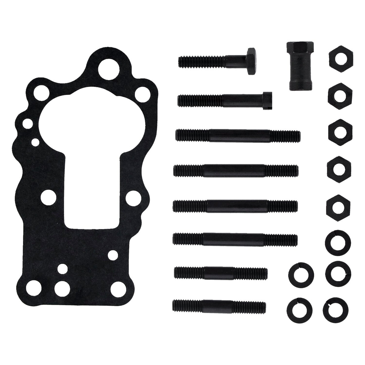 MCS Oil pump assembly cast iron