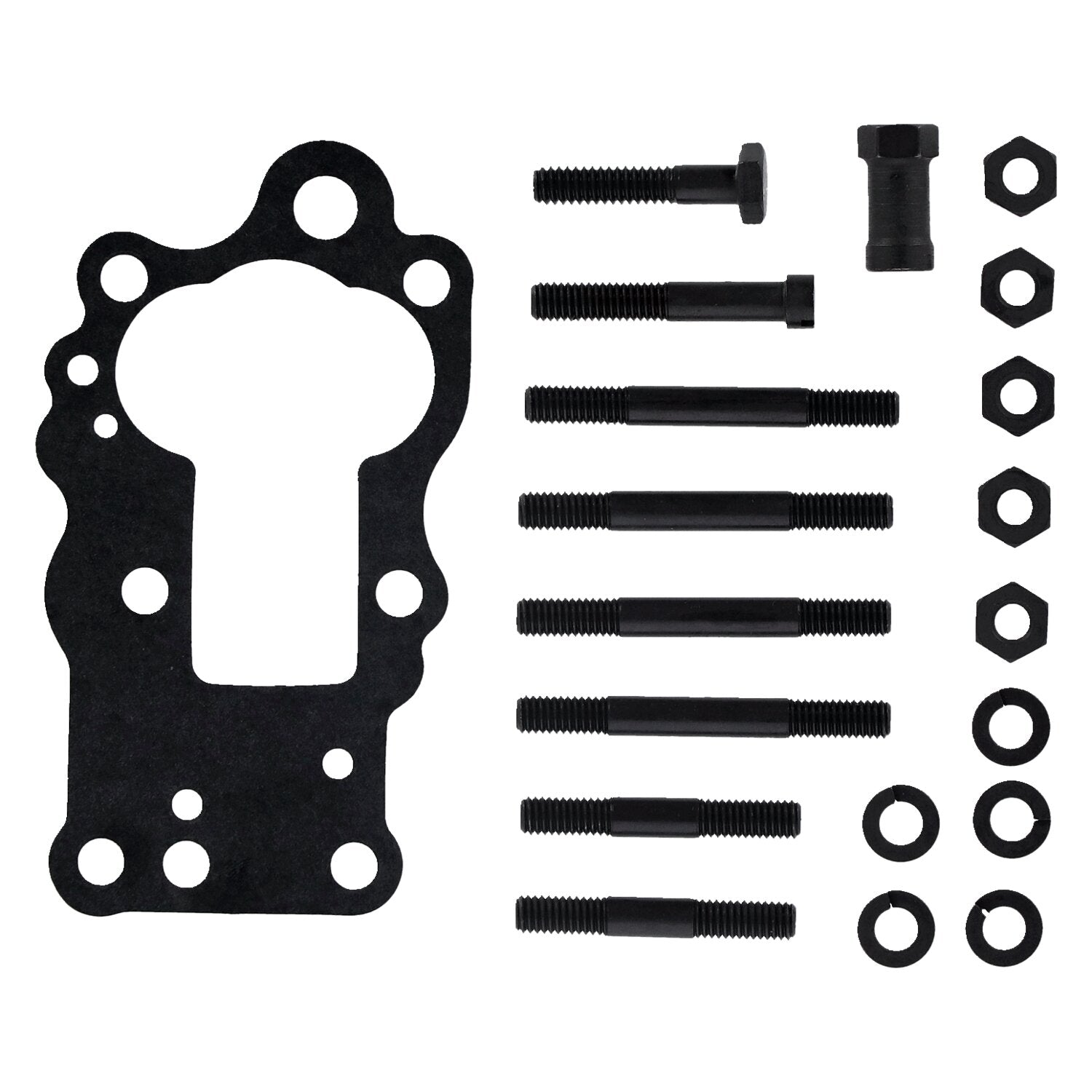 MCS Oil pump assembly cast iron