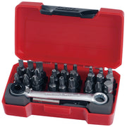 Teng Tools ratchet bits driver with bits