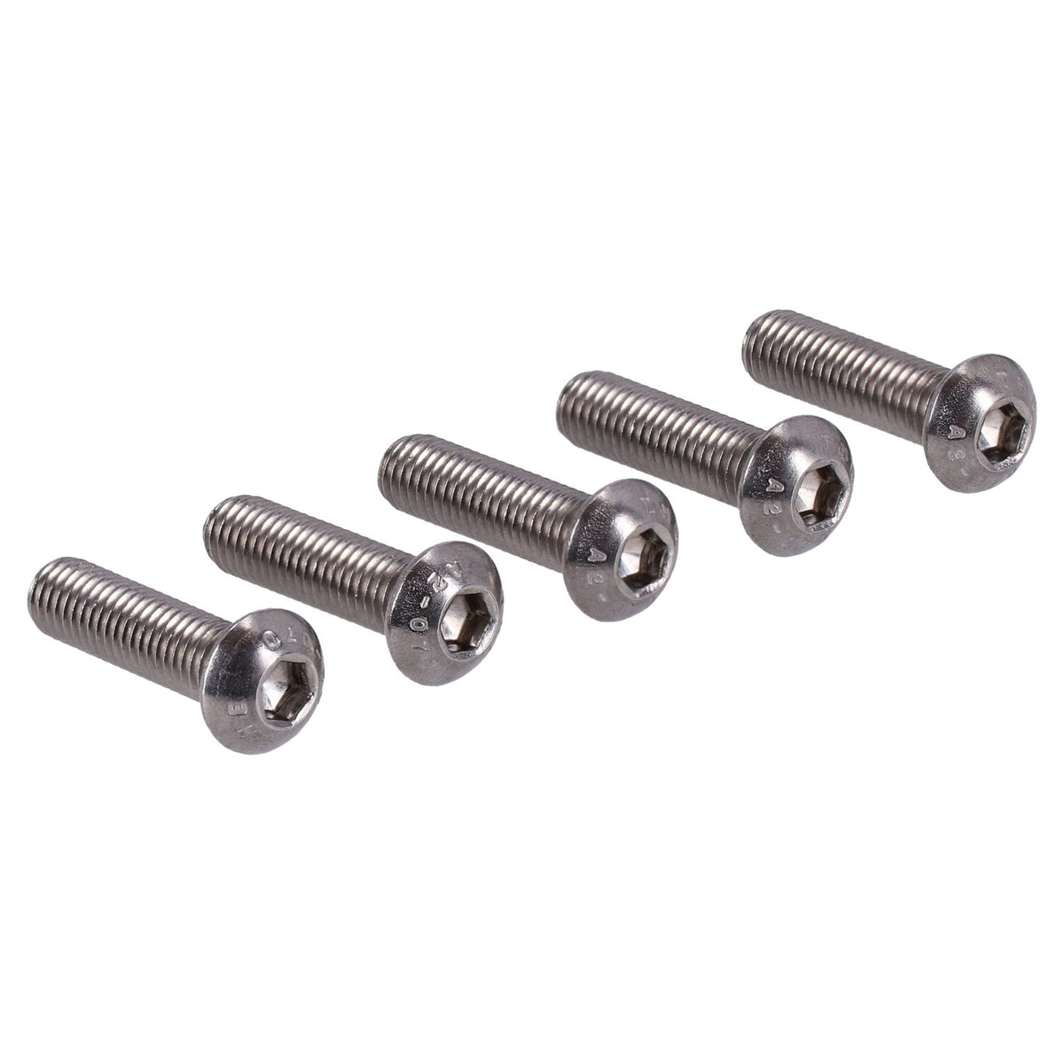 Gardner-Westcott M5 x 25mm buttonhead bolt stainless