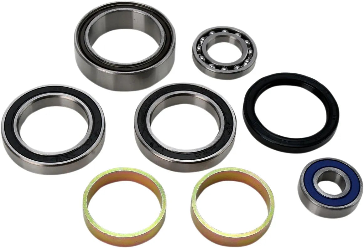 All Balls Chain Case Bearing and Seal Kit