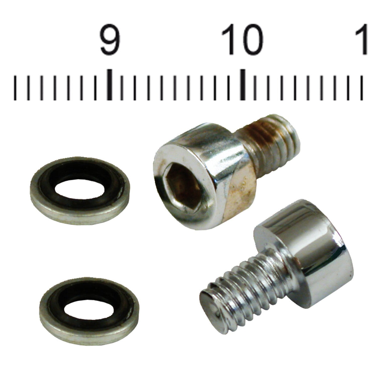 James Gaskets fork slider drain screws - Chrome Allen head