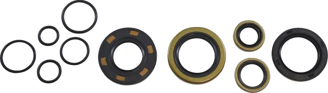 Vintco Oil Seal Kit for Engine Rebuilds