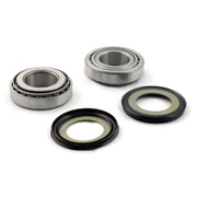 All Balls frame neck bearing race & seal kit