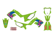 Blackbird Racing Retro Graphic Kit For Kawasaki
